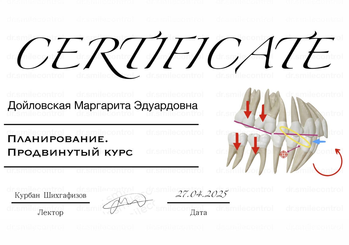 Сертификаты 1